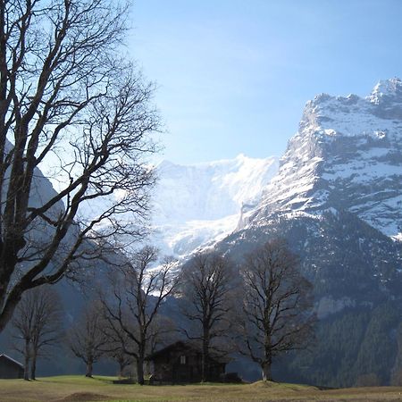 Superior Apartment 100M2 Bodmisonne - Grindelwald Esterno foto