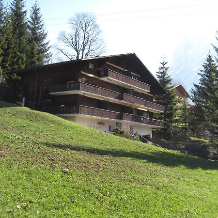 Superior Apartment 100M2 Bodmisonne - Grindelwald Esterno foto