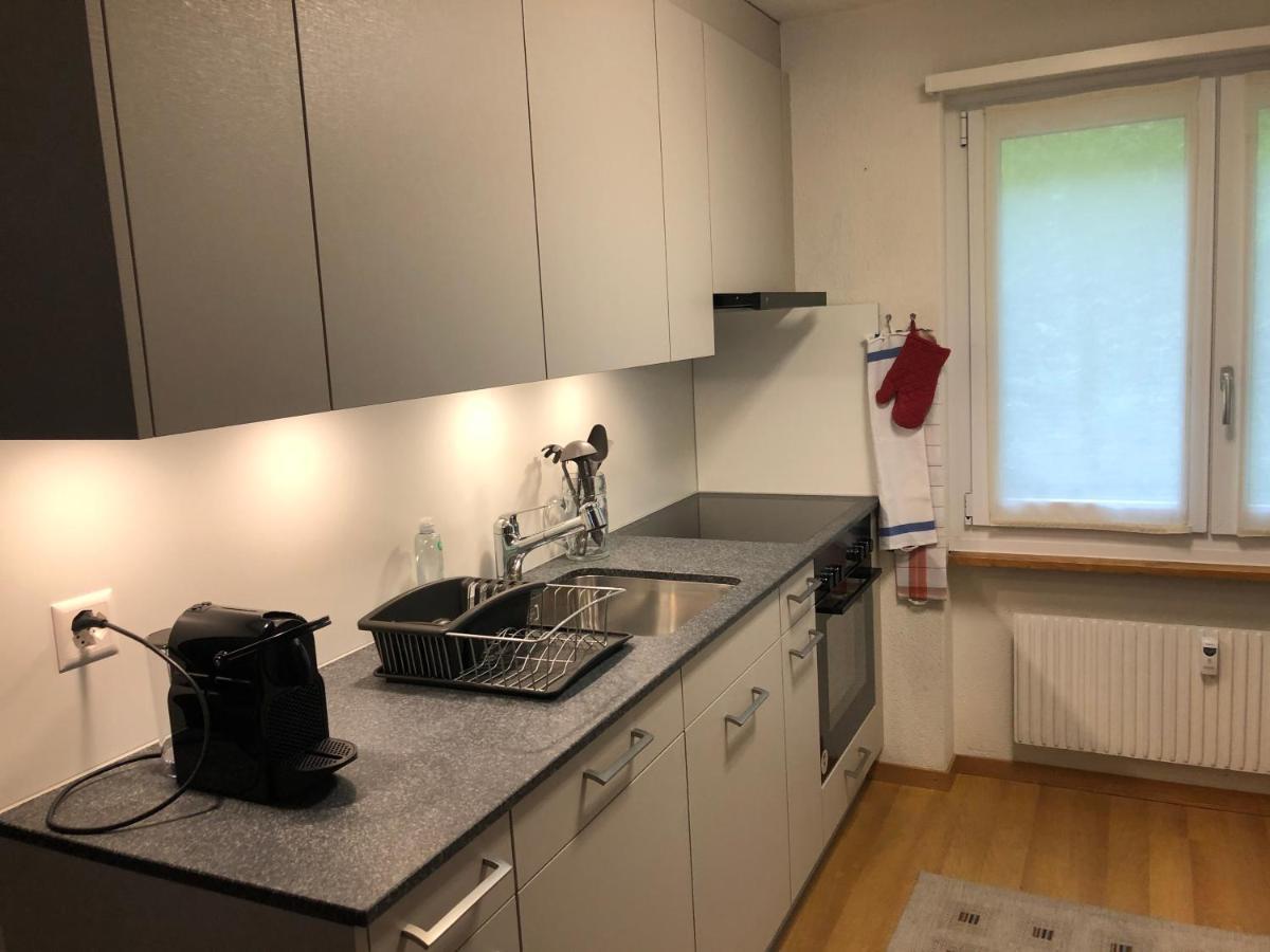 Superior Apartment 100M2 Bodmisonne - Grindelwald Esterno foto
