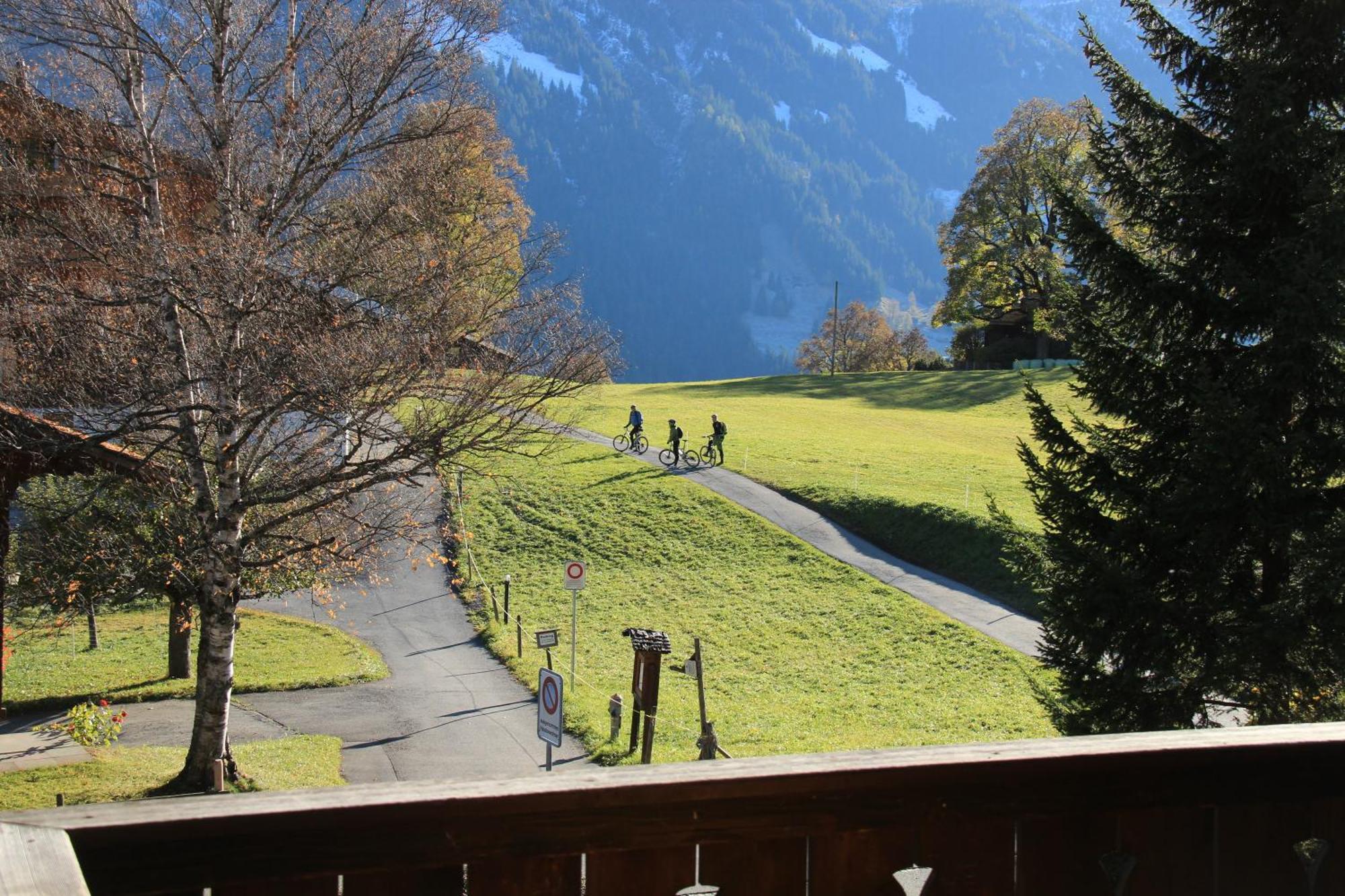 Superior Apartment 100M2 Bodmisonne - Grindelwald Esterno foto