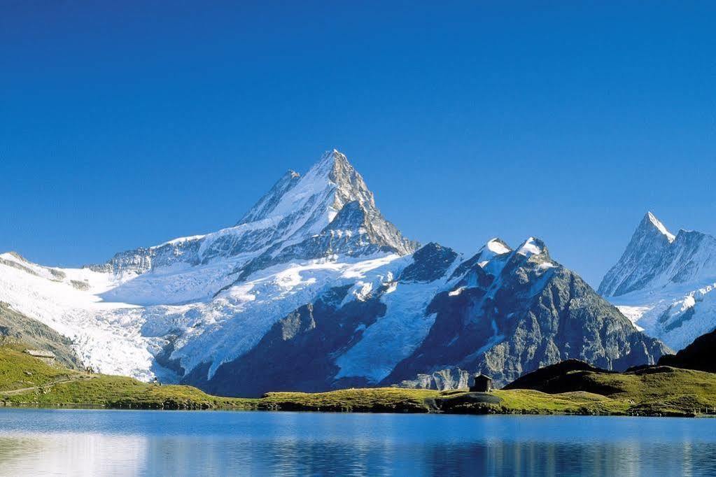 Superior Apartment 100M2 Bodmisonne - Grindelwald Esterno foto